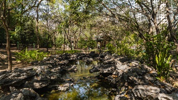 數條人工溪澗貫穿公園，流水令附近的空間變得清新涼快，讓訪客流連忘返。